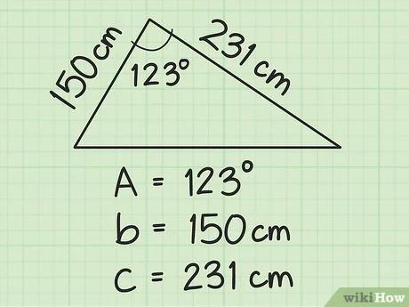 صورة عنوانها Calculate the Area of a Triangle Step 15